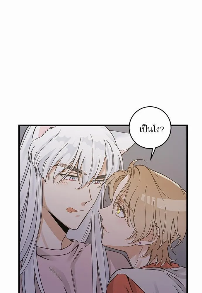 My One and Only Cat ตอนที่ 4455