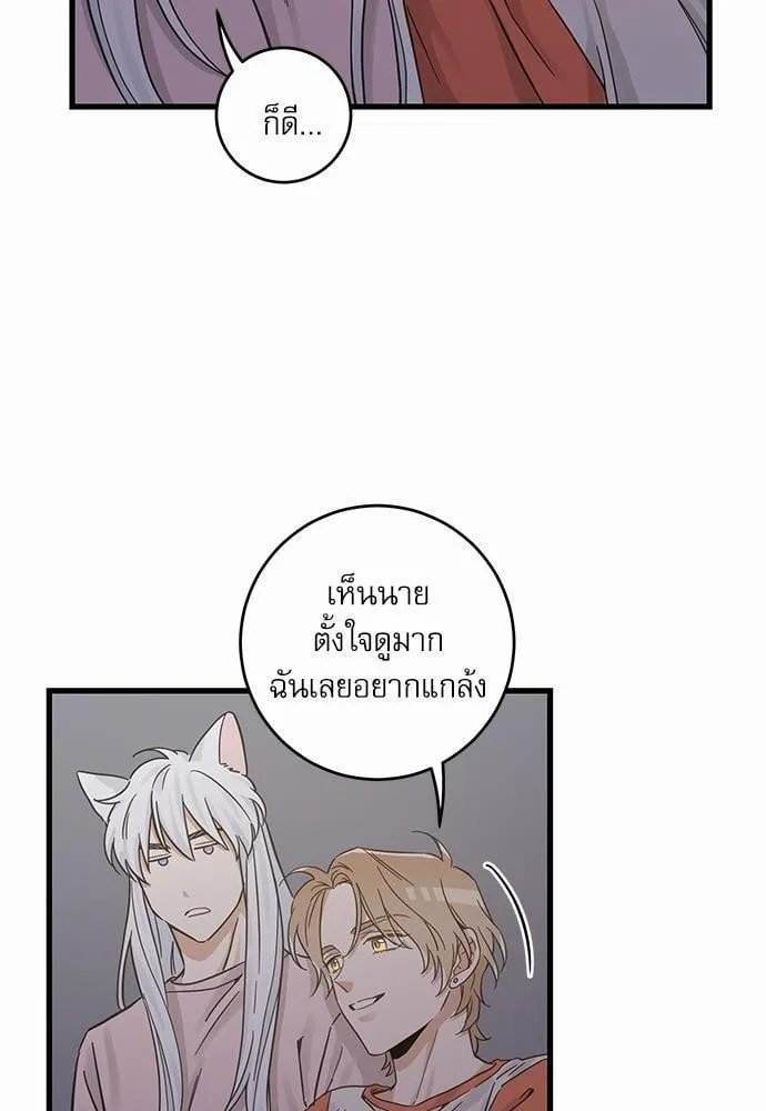 My One and Only Cat ตอนที่ 4456