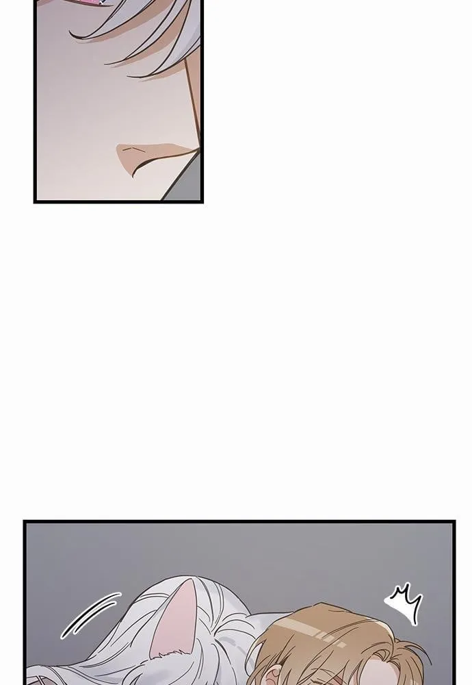 My One and Only Cat ตอนที่ 4459