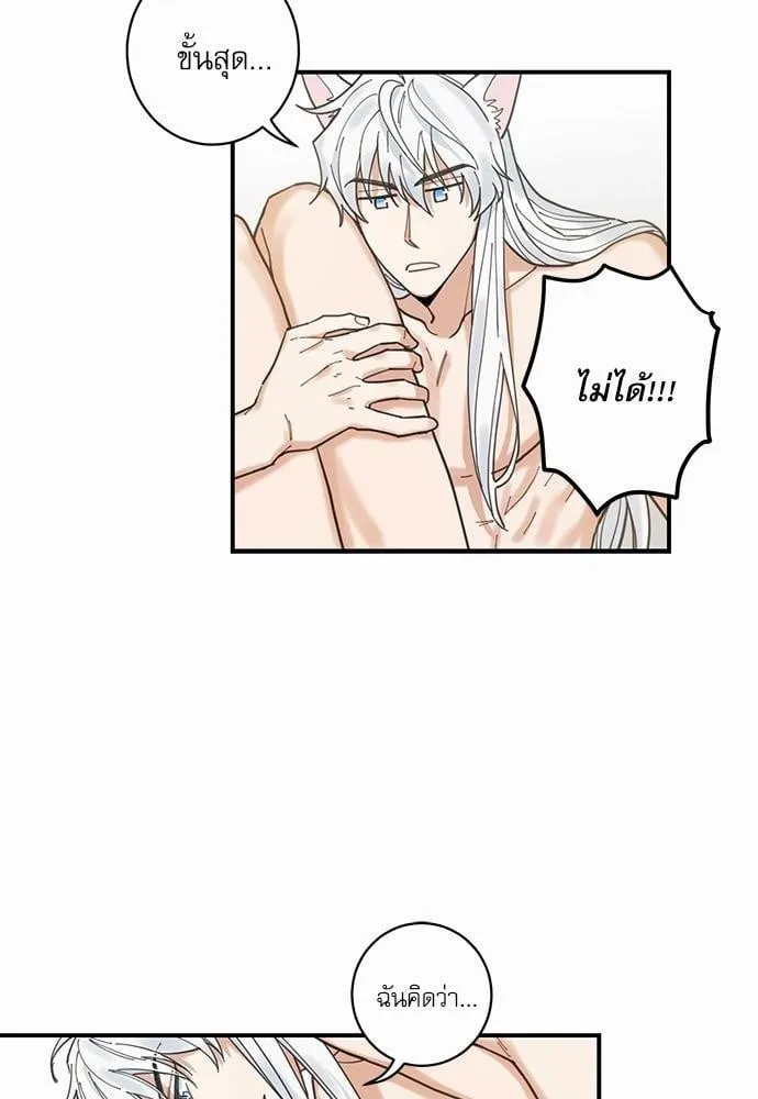 My One and Only Cat ตอนที่ 446 My One and Only Cat ตอนที่ 446