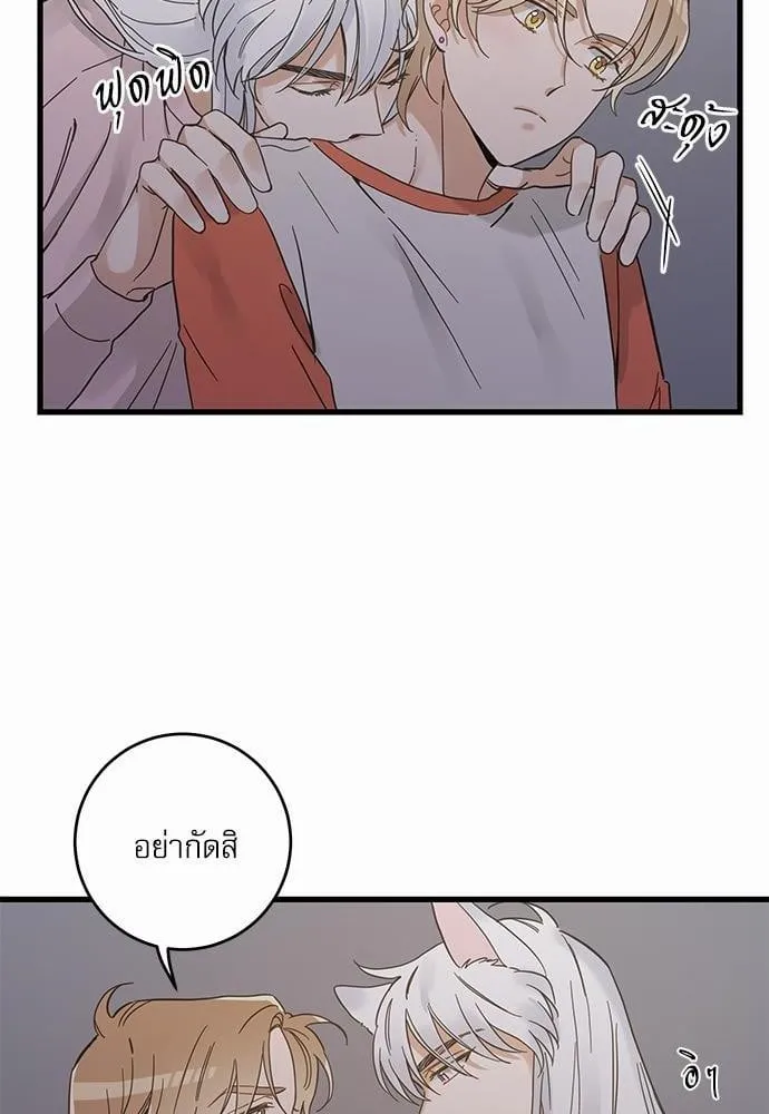 My One and Only Cat ตอนที่ 4460