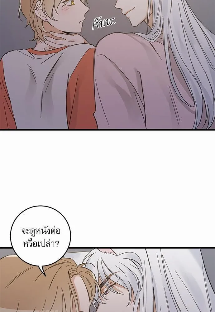 My One and Only Cat ตอนที่ 4461