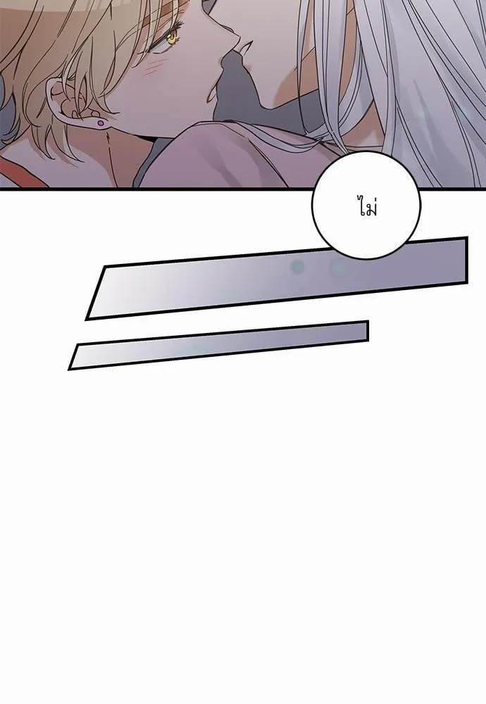 My One and Only Cat ตอนที่ 4462