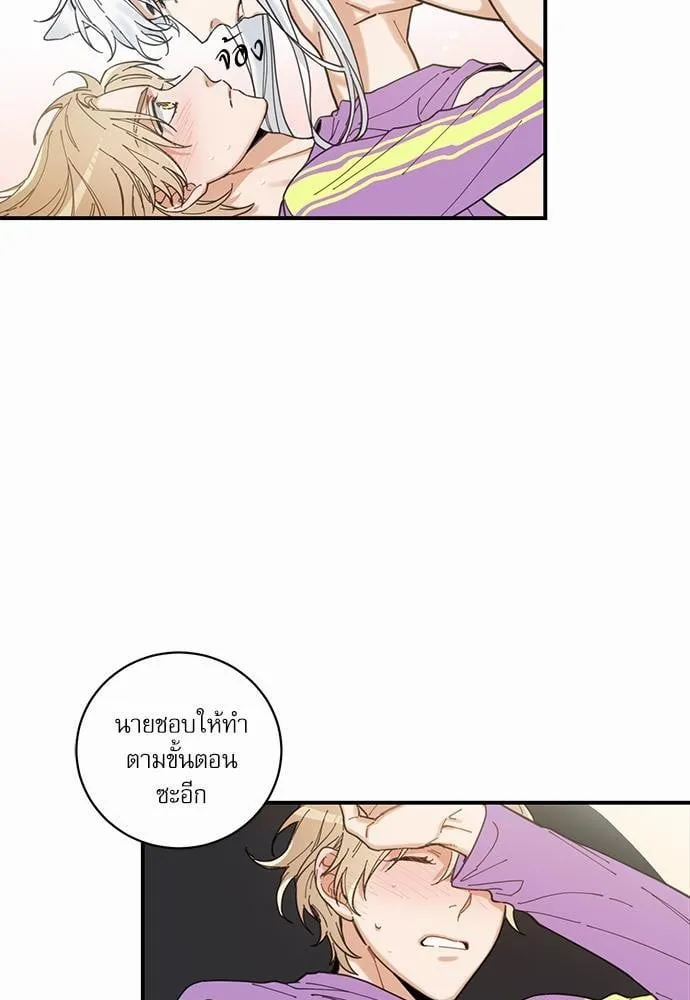 My One and Only Cat ตอนที่ 447 My One and Only Cat ตอนที่ 447