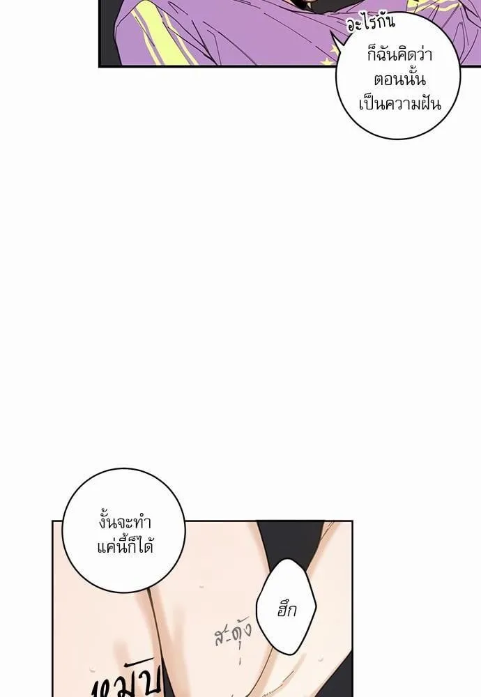 My One and Only Cat ตอนที่ 448 My One and Only Cat ตอนที่ 448