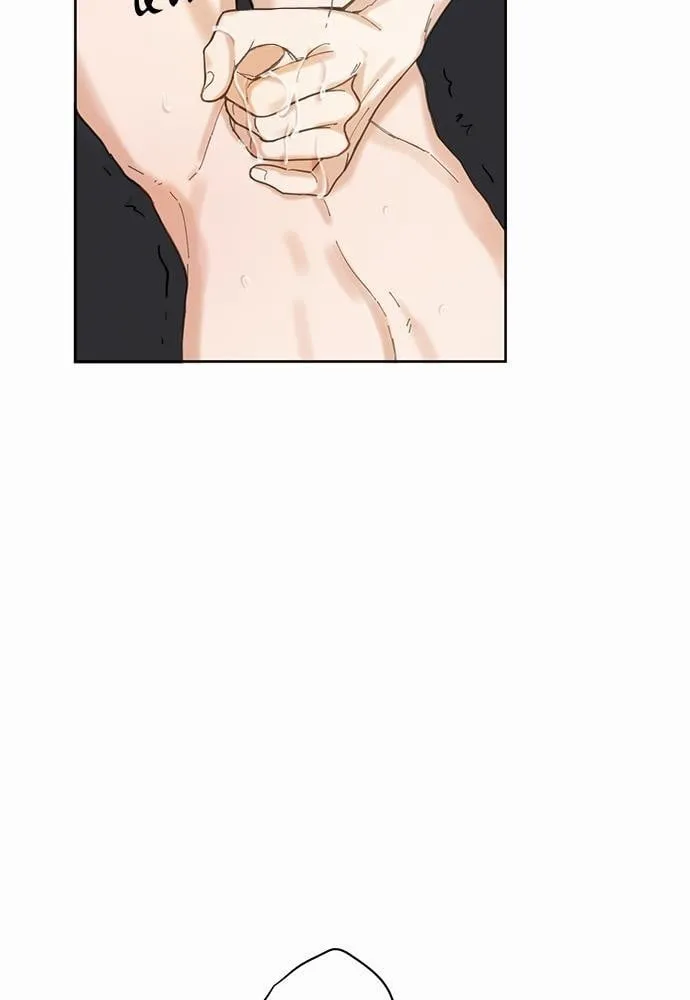 My One and Only Cat ตอนที่ 449 My One and Only Cat ตอนที่ 449