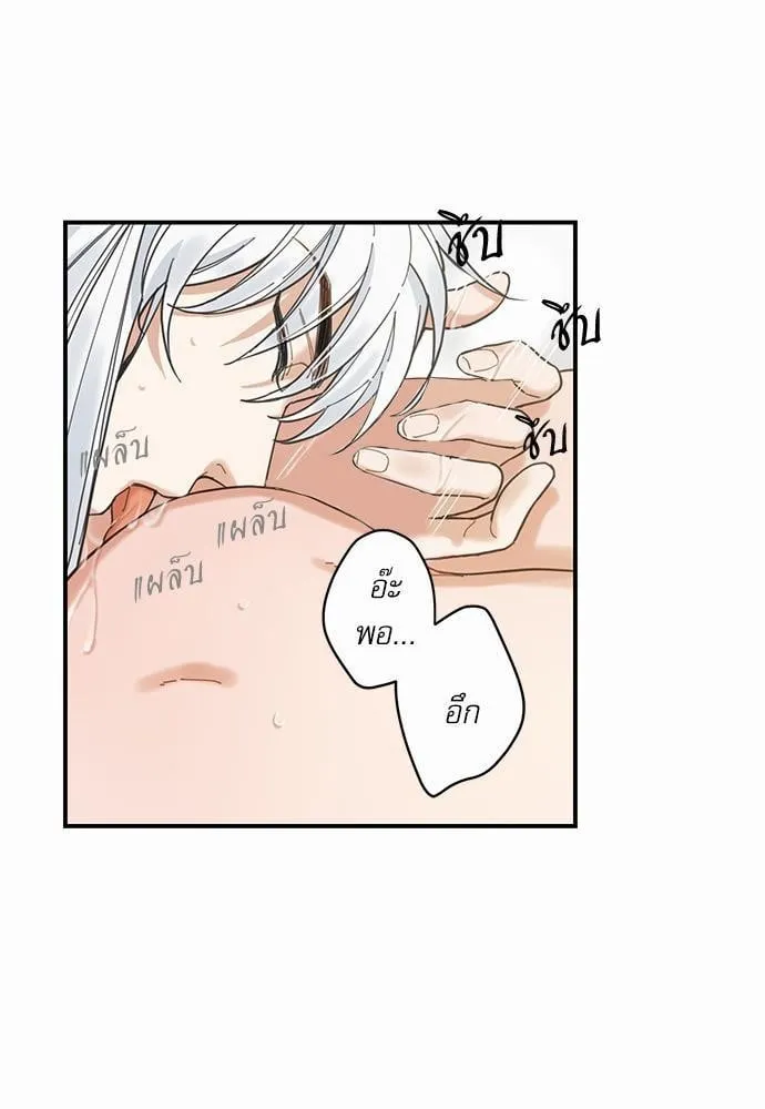 My One and Only Cat ตอนที่ 451 My One and Only Cat ตอนที่ 451