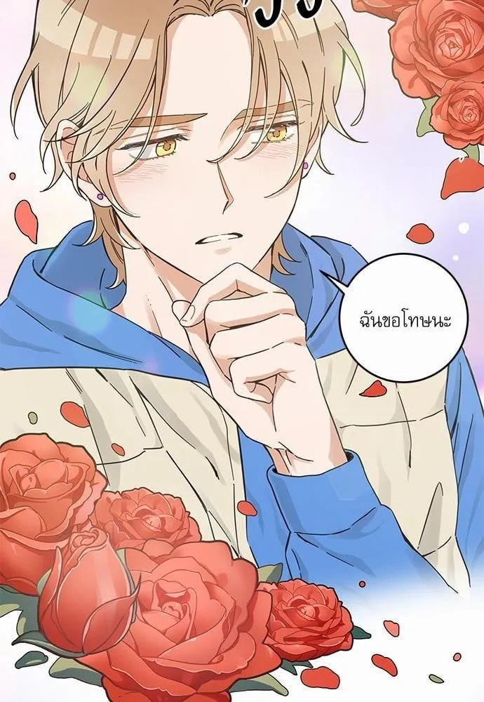 My One and Only Cat ตอนที่ 4522