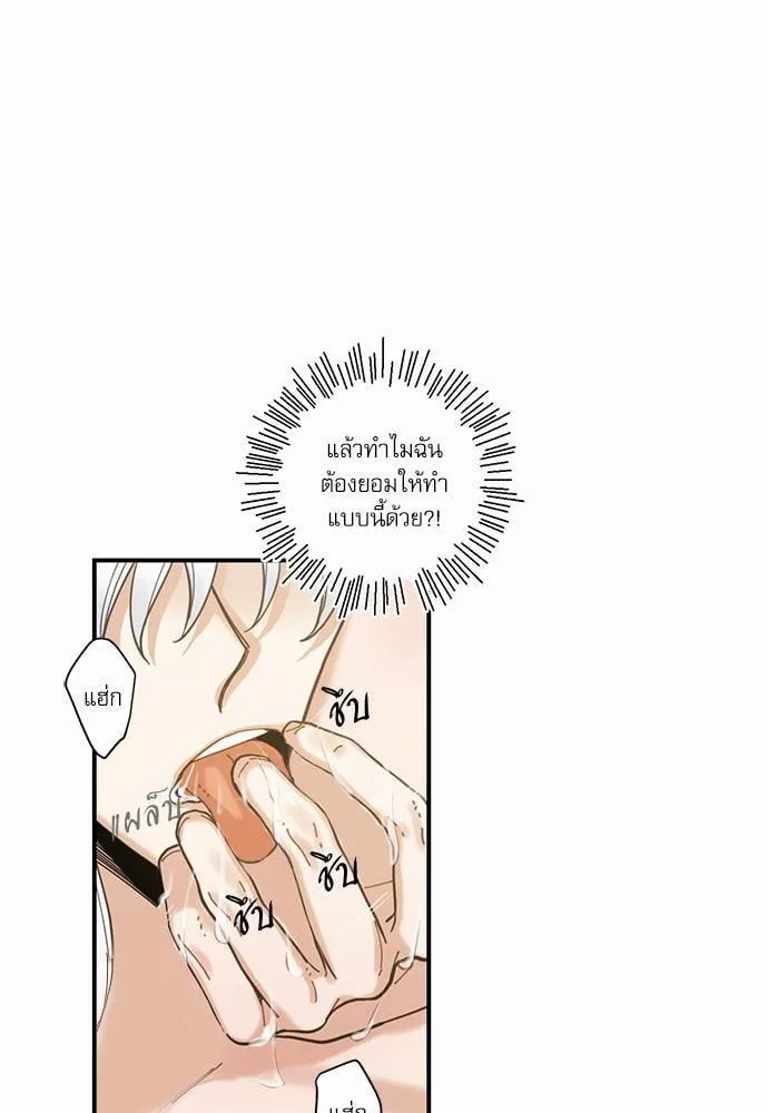 My One and Only Cat ตอนที่ 453 My One and Only Cat ตอนที่ 453