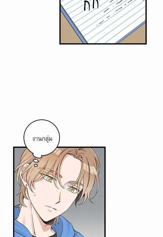 My One and Only Cat ตอนที่ 4538