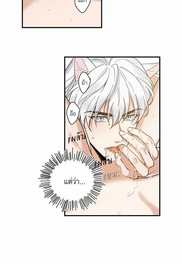 My One and Only Cat ตอนที่ 454 My One and Only Cat ตอนที่ 454