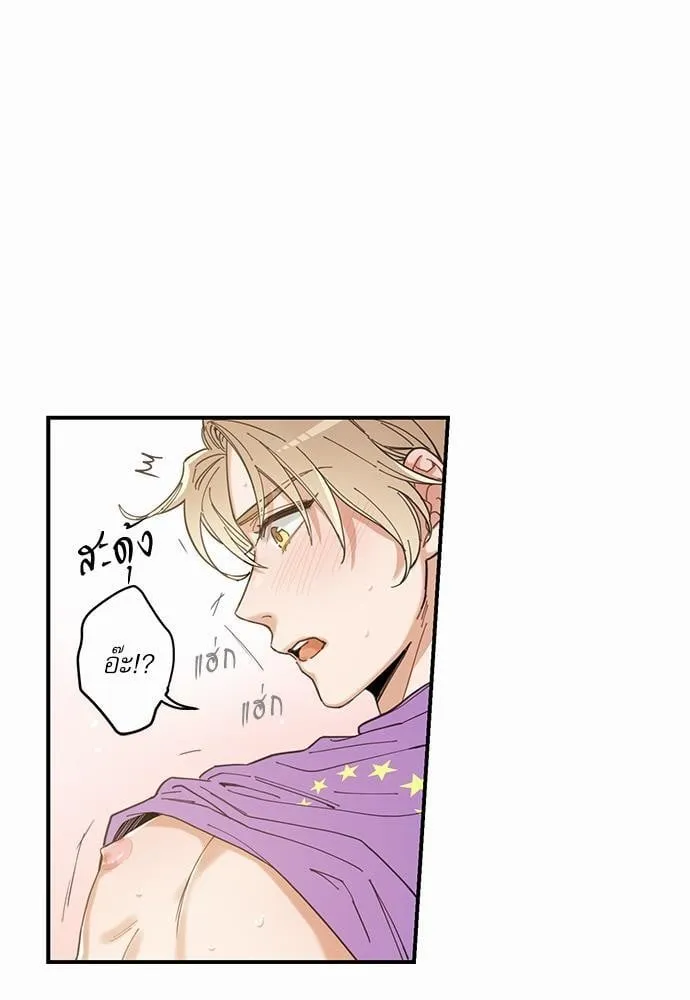 My One and Only Cat ตอนที่ 455 My One and Only Cat ตอนที่ 455