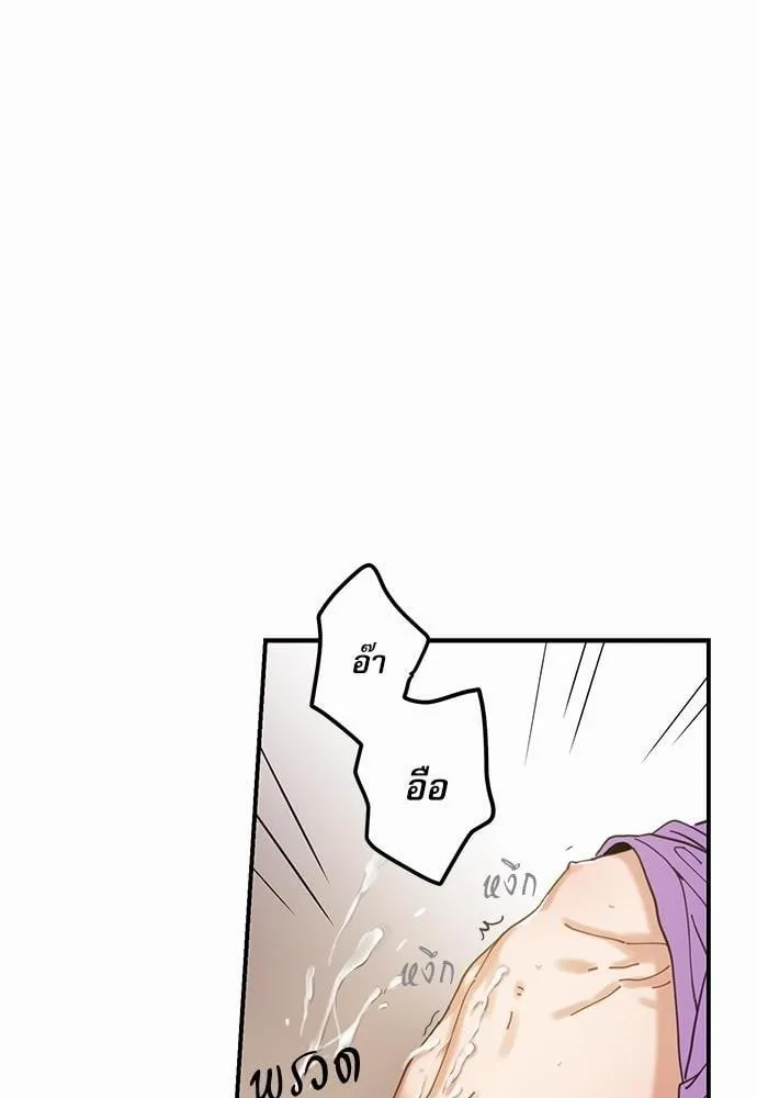 My One and Only Cat ตอนที่ 456 My One and Only Cat ตอนที่ 456