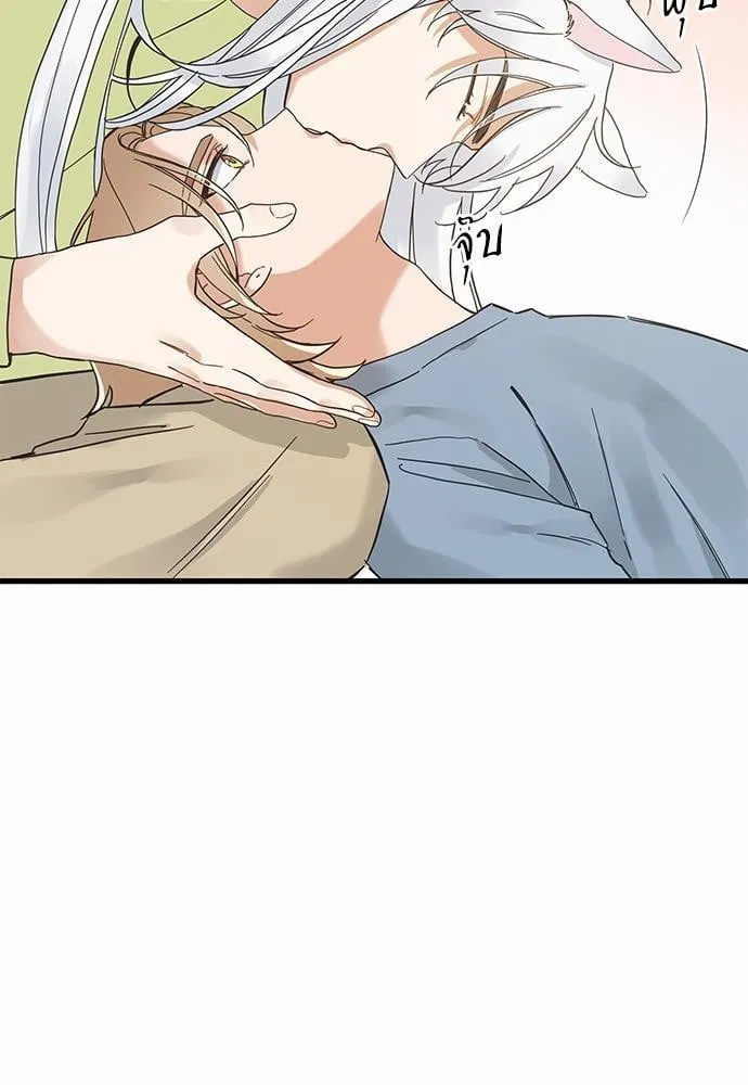 My One and Only Cat ตอนที่ 4561