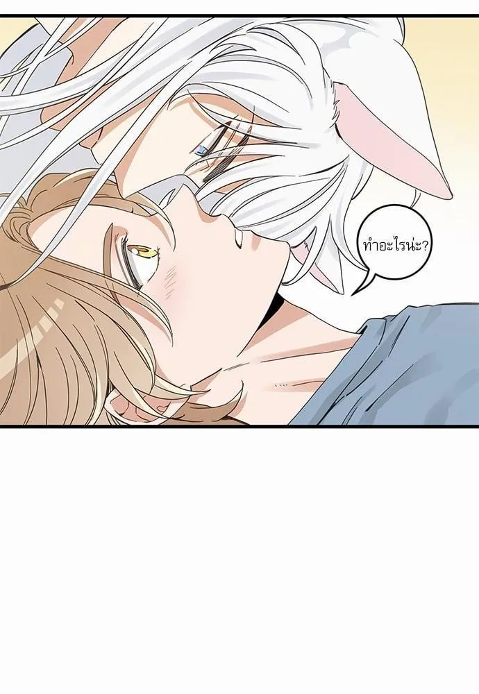 My One and Only Cat ตอนที่ 4562