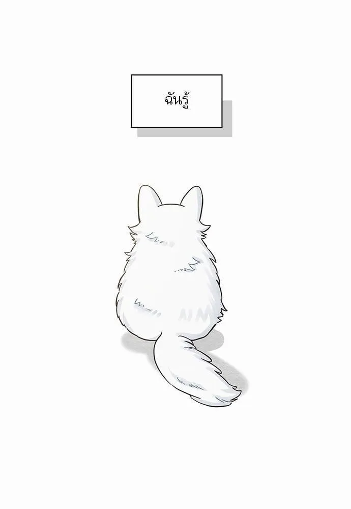 My One and Only Cat ตอนที่ 4563