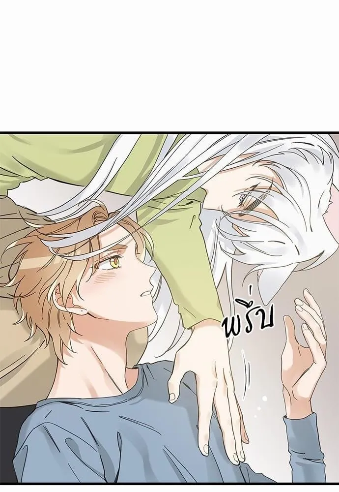 My One and Only Cat ตอนที่ 4568