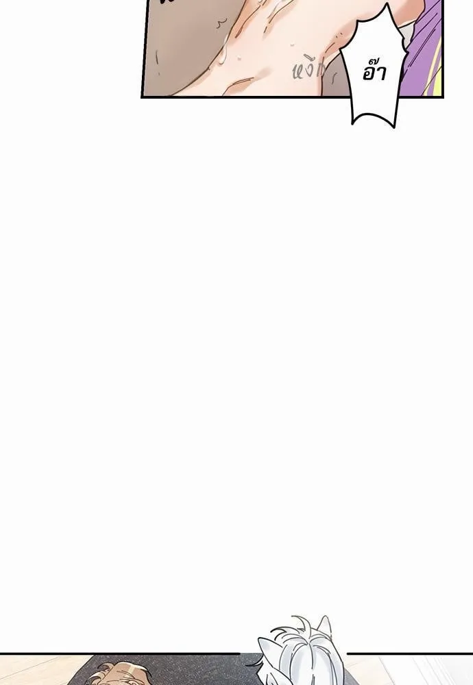 My One and Only Cat ตอนที่ 457 My One and Only Cat ตอนที่ 457