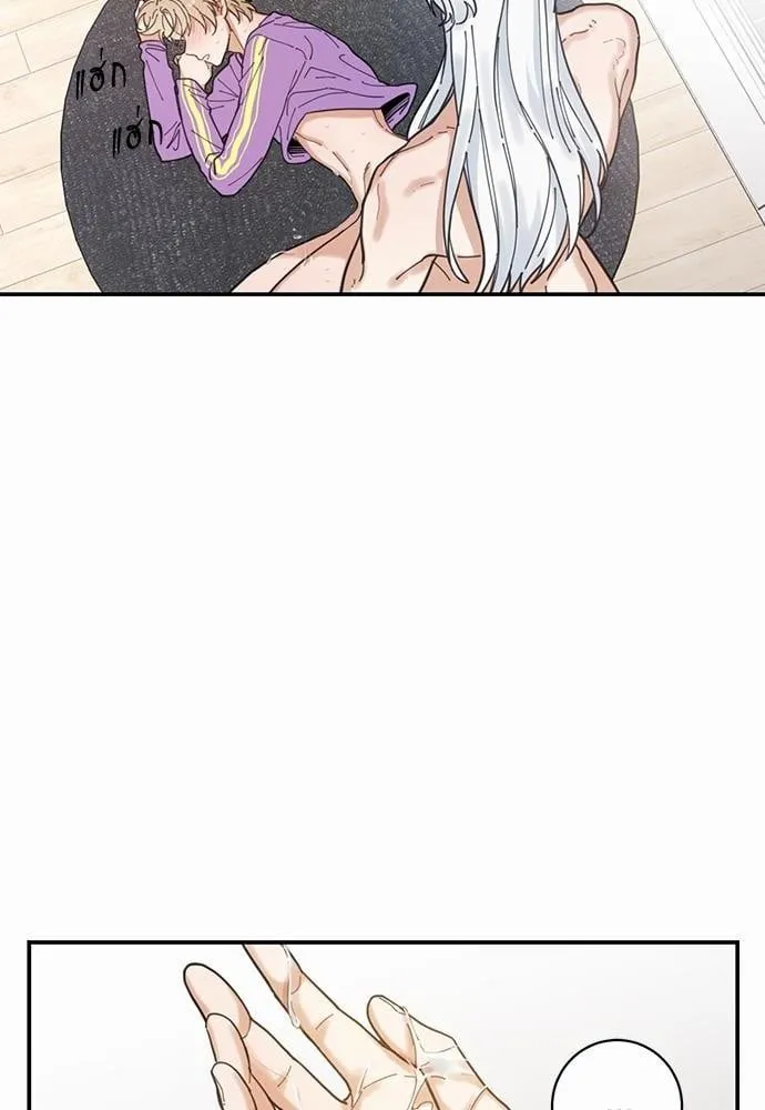 My One and Only Cat ตอนที่ 458 My One and Only Cat ตอนที่ 458