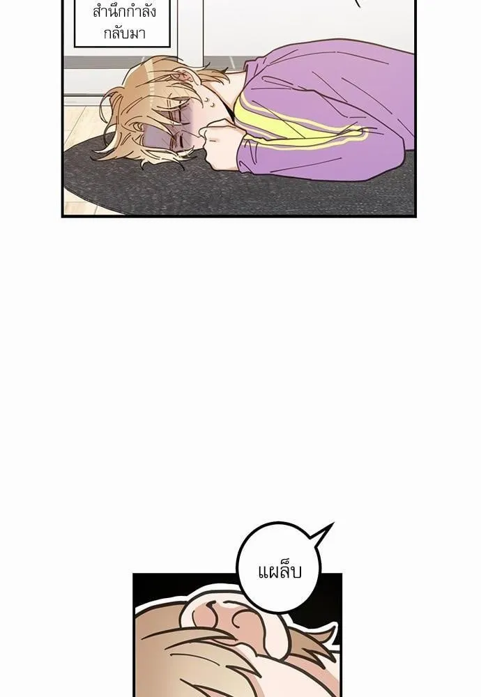 My One and Only Cat ตอนที่ 460 My One and Only Cat ตอนที่ 460