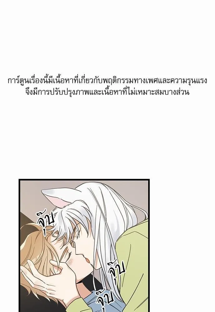 My One and Only Cat ตอนที่ 4601