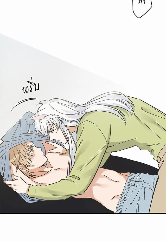 My One and Only Cat ตอนที่ 4603