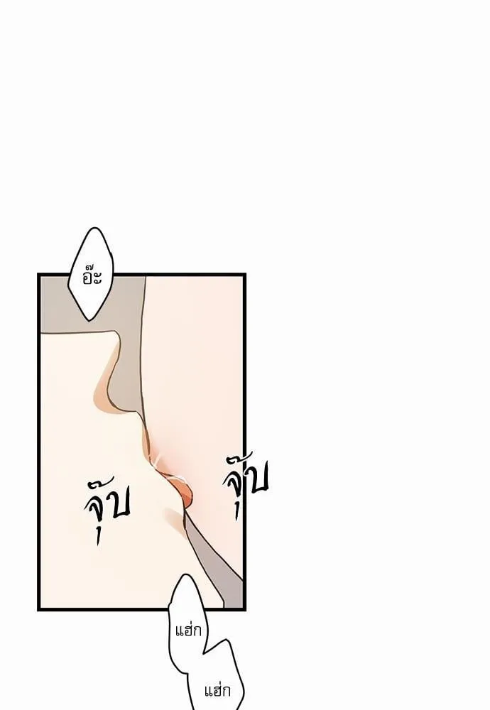 My One and Only Cat ตอนที่ 4607