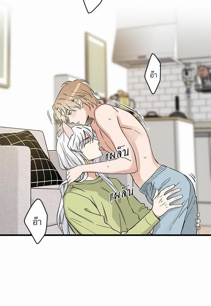 My One and Only Cat ตอนที่ 4608