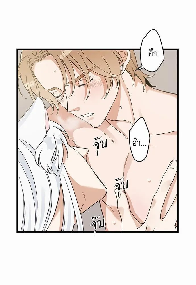 My One and Only Cat ตอนที่ 4609