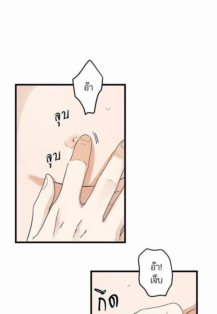 My One and Only Cat ตอนที่ 4610