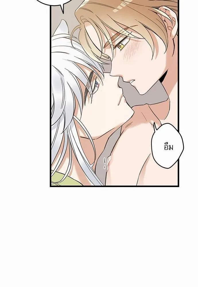 My One and Only Cat ตอนที่ 4614