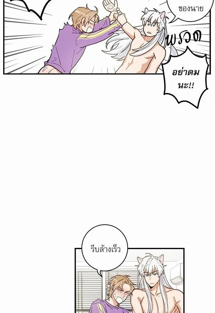 My One and Only Cat ตอนที่ 462 My One and Only Cat ตอนที่ 462