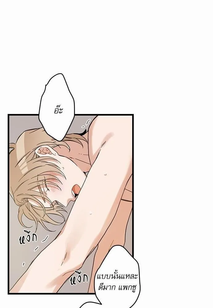 My One and Only Cat ตอนที่ 4620