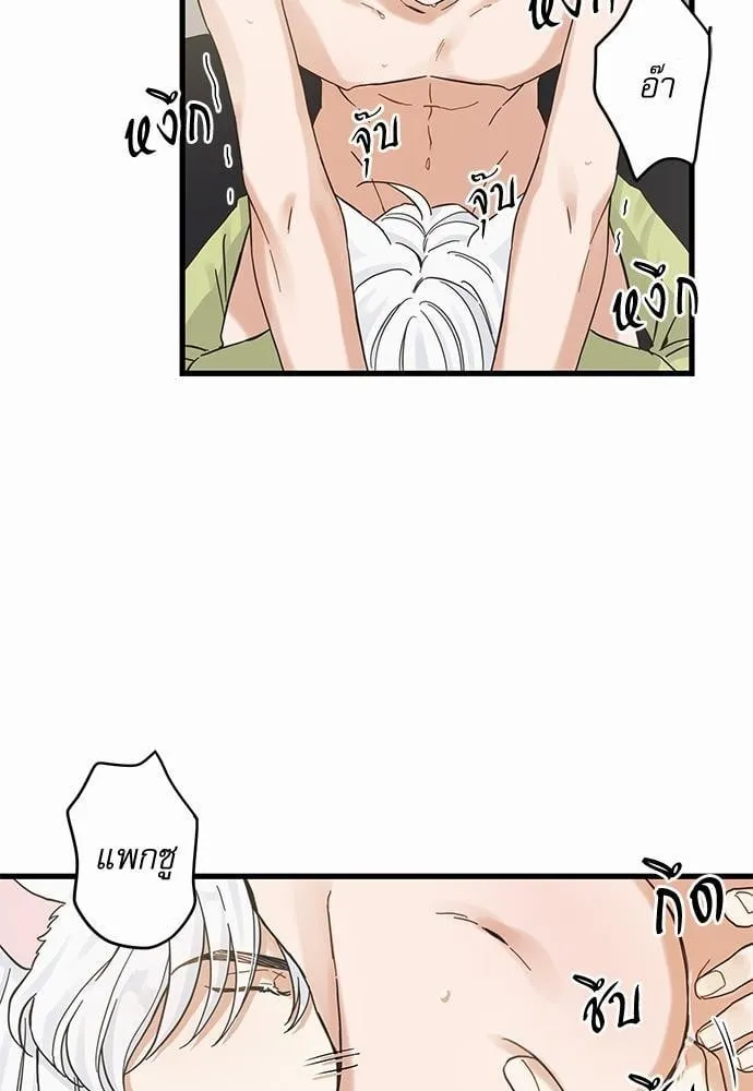 My One and Only Cat ตอนที่ 4625