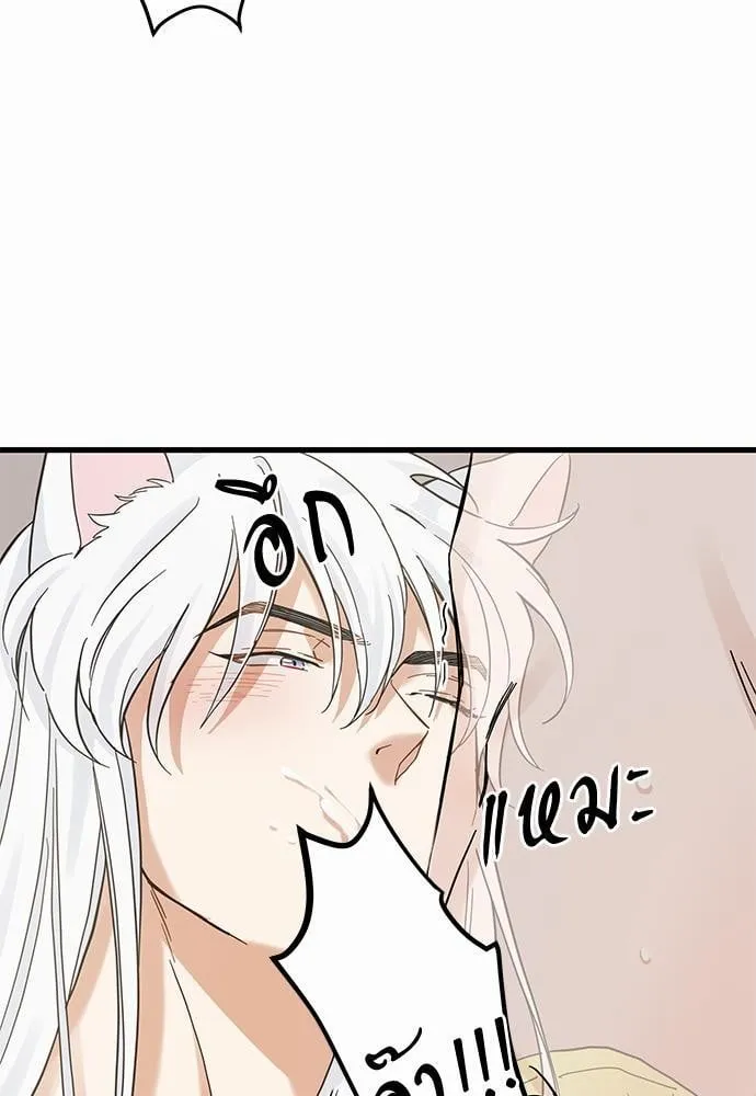 My One and Only Cat ตอนที่ 4627