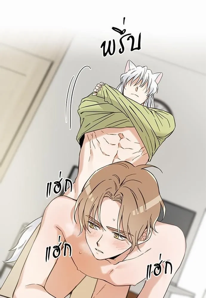 My One and Only Cat ตอนที่ 4629