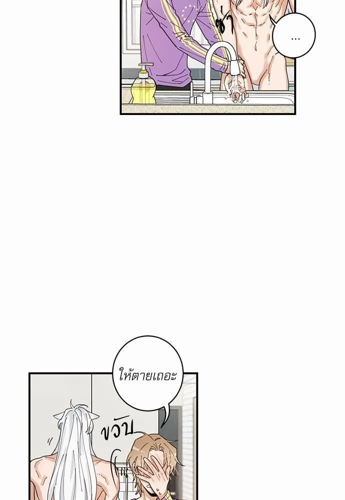 My One and Only Cat ตอนที่ 463 My One and Only Cat ตอนที่ 463