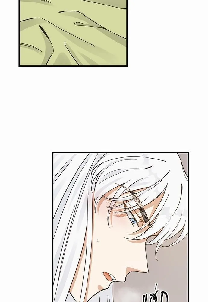 My One and Only Cat ตอนที่ 4631