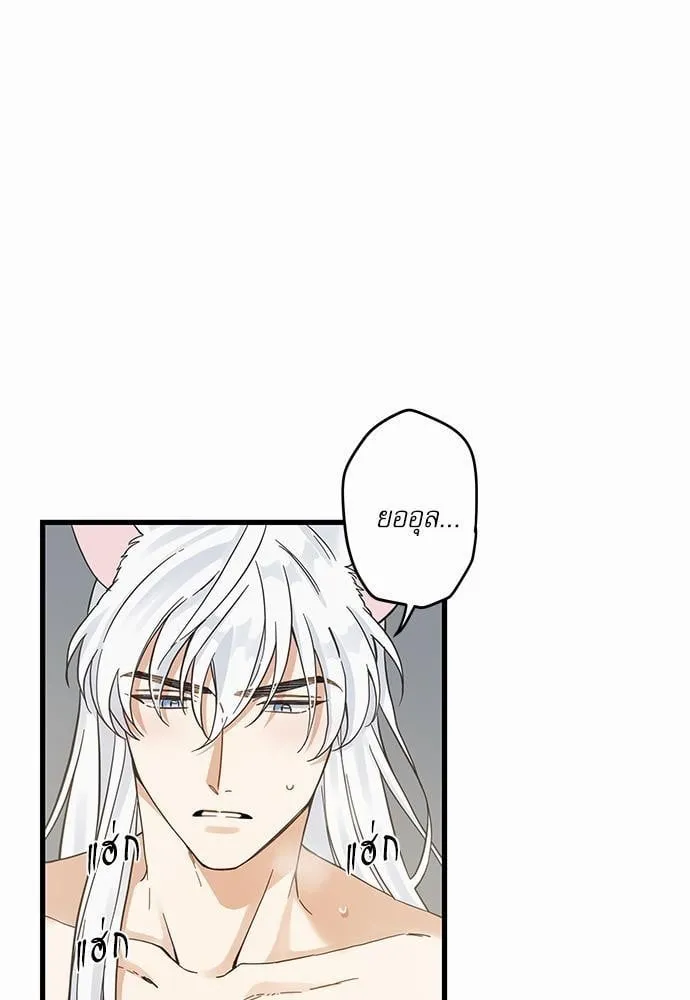 My One and Only Cat ตอนที่ 4637