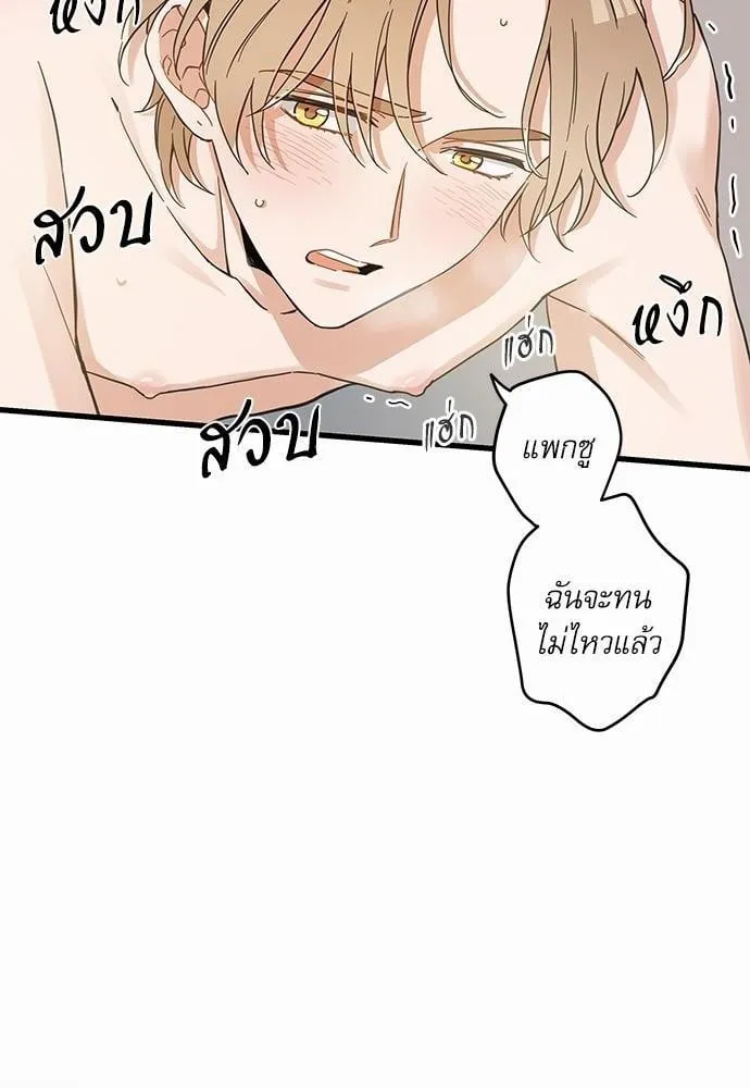 My One and Only Cat ตอนที่ 4640