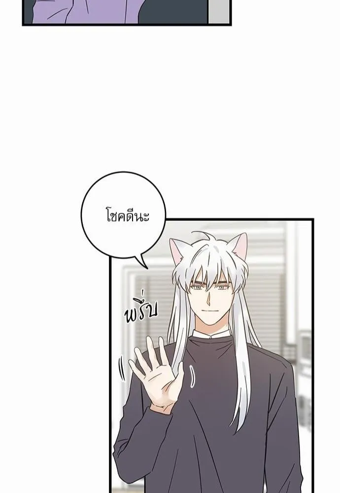 My One and Only Cat ตอนที่ 4646