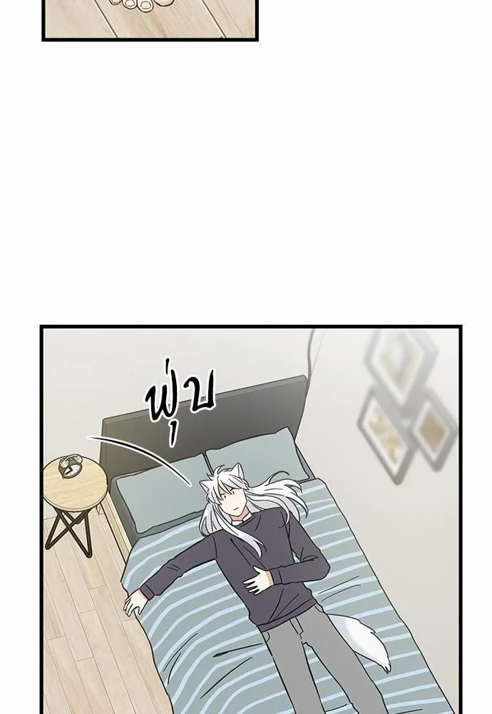 My One and Only Cat ตอนที่ 4648