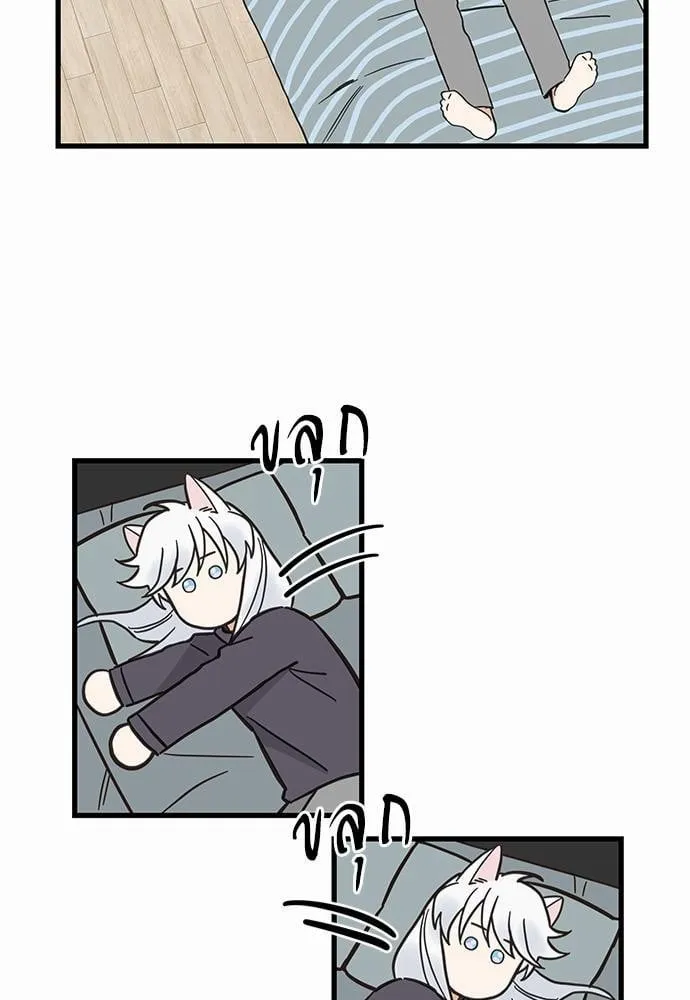 My One and Only Cat ตอนที่ 4649