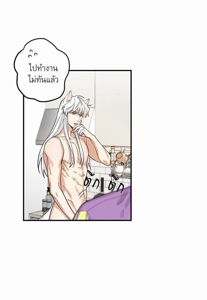 My One and Only Cat ตอนที่ 465 My One and Only Cat ตอนที่ 465