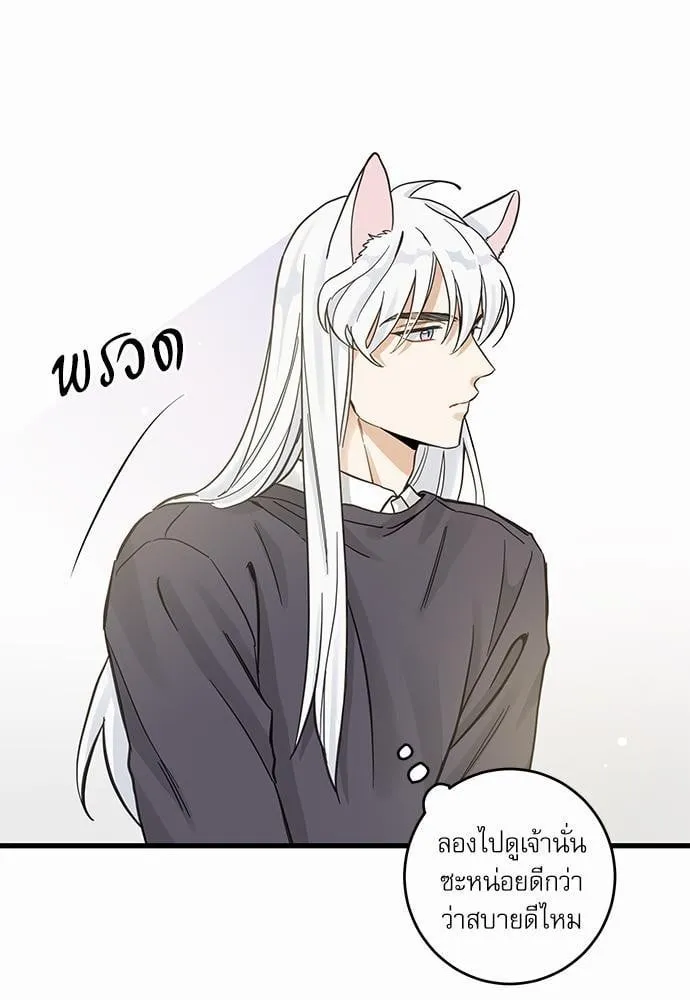 My One and Only Cat ตอนที่ 4651