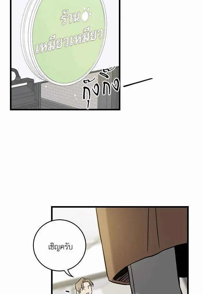 My One and Only Cat ตอนที่ 4653