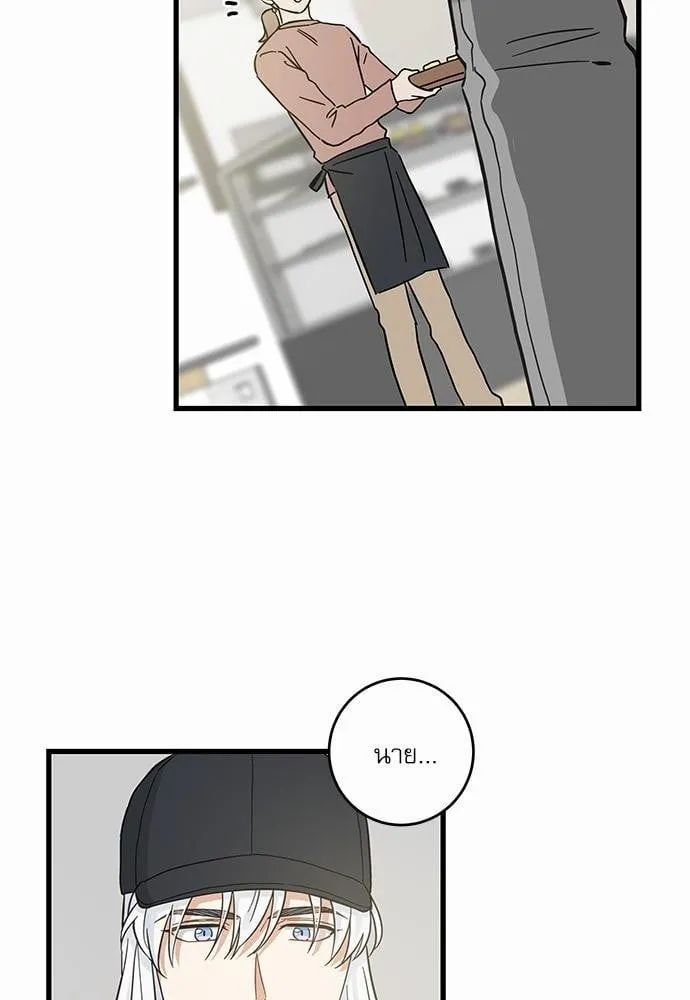 My One and Only Cat ตอนที่ 4654