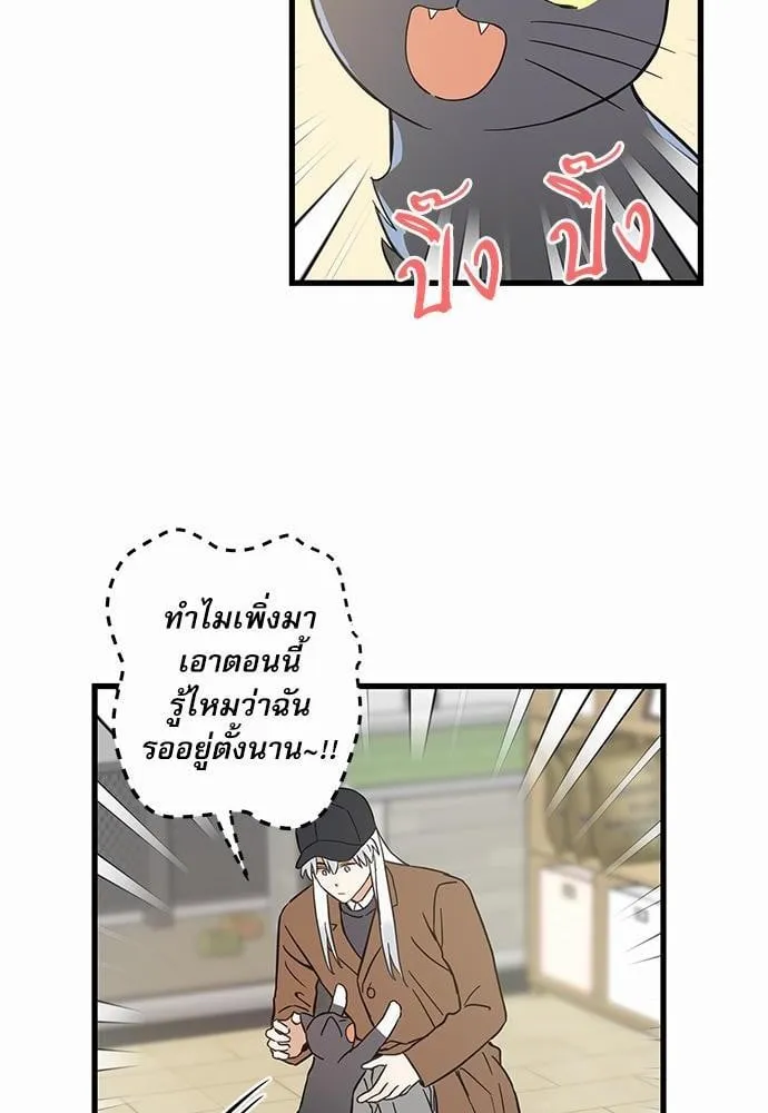 My One and Only Cat ตอนที่ 4656