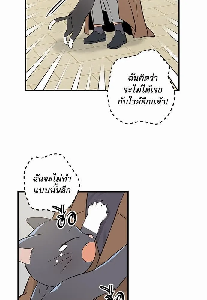 My One and Only Cat ตอนที่ 4657