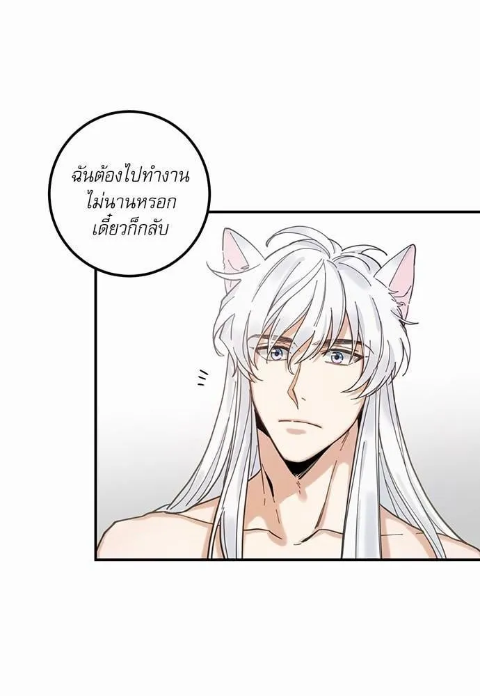 My One and Only Cat ตอนที่ 466 My One and Only Cat ตอนที่ 466